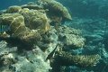 IMG_0236