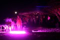 IMG_0288