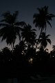 IMG_0429