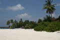 IMG_0505