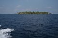 IMG_0656