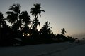 IMG_0701